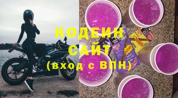 шишки Белокуриха