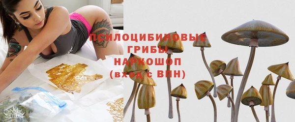шишки Белокуриха