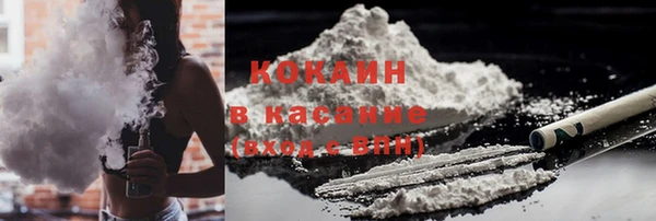 шишки Белокуриха