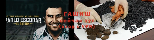 шишки Белокуриха