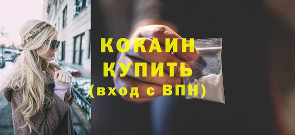 шишки Белокуриха