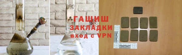 шишки Белокуриха