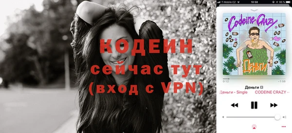 шишки Белокуриха