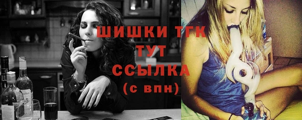 шишки Белокуриха