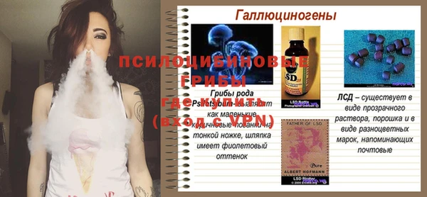 шишки Белокуриха