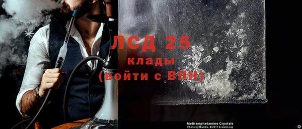 шишки Белокуриха
