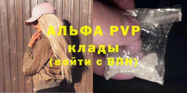 шишки Белокуриха