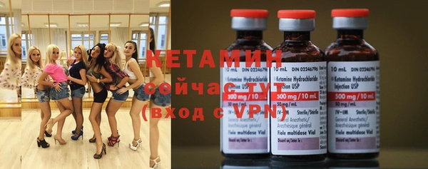 шишки Белокуриха